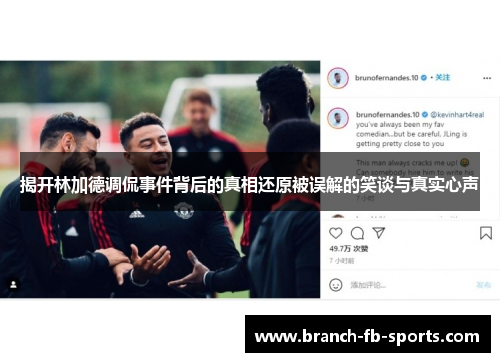 揭开林加德调侃事件背后的真相还原被误解的笑谈与真实心声 揭开林加德调侃事件背后的真相还原被误解的笑谈与真实心声