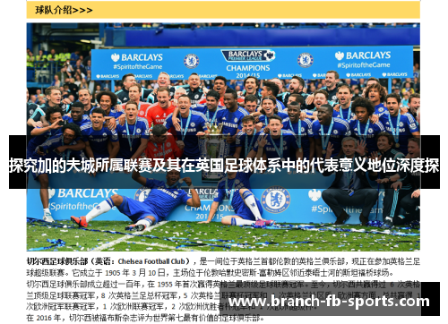 探究加的夫城所属联赛及其在英国足球体系中的代表意义地位深度探