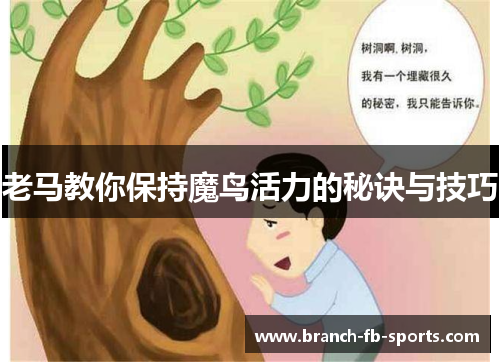 老马教你保持魔鸟活力的秘诀与技巧 老马教你保持魔鸟活力的秘诀与技巧