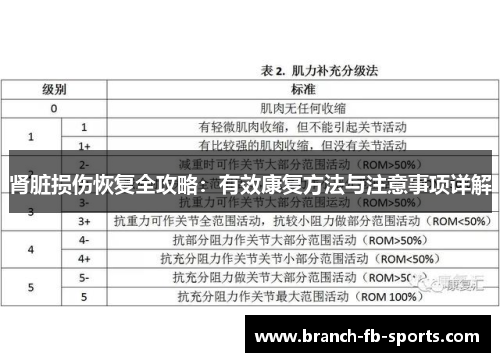 肾脏损伤恢复全攻略:有效康复方法与注意事项详解 肾脏损伤恢复全攻略:有效康复方法与注意事项详解