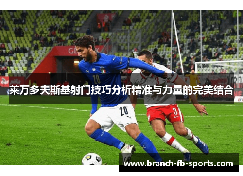 莱万多夫斯基射门技巧分析精准与力量的完美结合