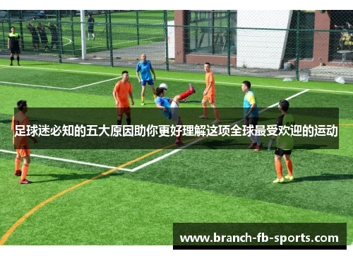 足球迷必知的五大原因助你更好理解这项全球最受欢迎的运动