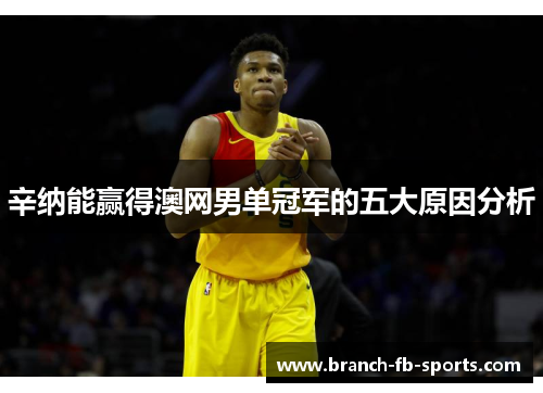 辛纳能赢得澳网男单冠军的五大原因分析